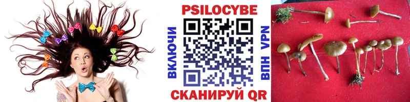 кракен ссылки  где продают   Юхнов  Галлюциногенные грибы ЛСД 